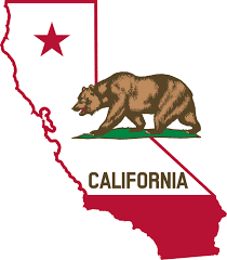 California Illustration with Bear